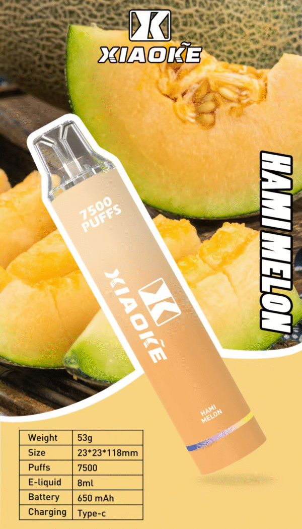 梟客抛棄式7500口 ✨可充電🔋限時活動 💖女生首選